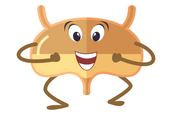 Fun Bladder Graphic for Crafters